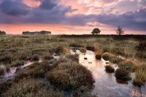 Summio Vakantiepark Het Drentse Wold foto 14