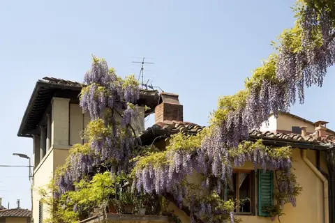 Le Cannelle B&B in Fiesole, foto 28