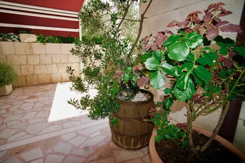 Villa Rustica Dalmatia in Seget Vranjica — foto 8