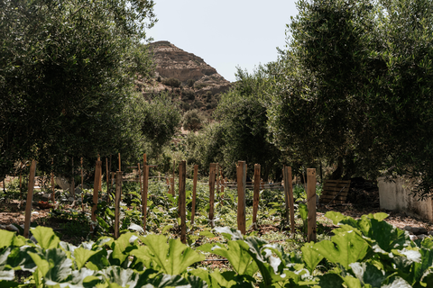 Paralos the Maxine Hotel - adults only foto 13