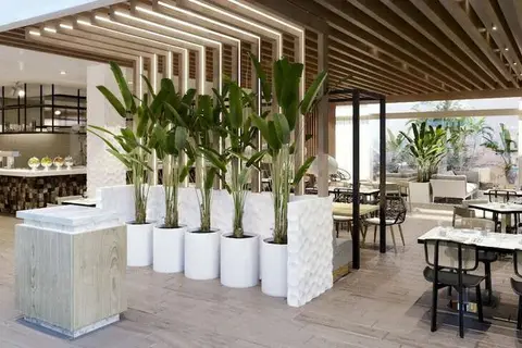 Courtyard by Marriott Aruba Resort in West Punt — foto 16