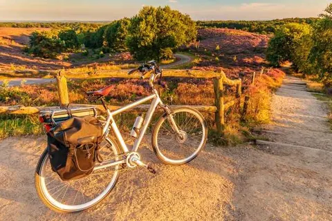 Hotel De Roode Schuur foto 32