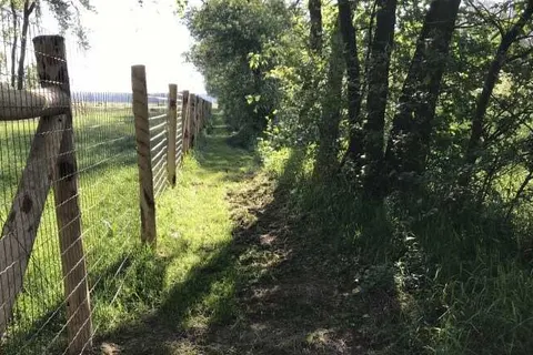 Bed and Breakfast In de Hei foto 7