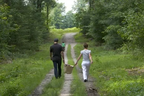 Hotel Zonneheuvel foto 18