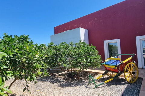 Quinta dos I's foto 19