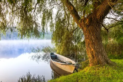Ontdek Polen in Toruń, foto 14