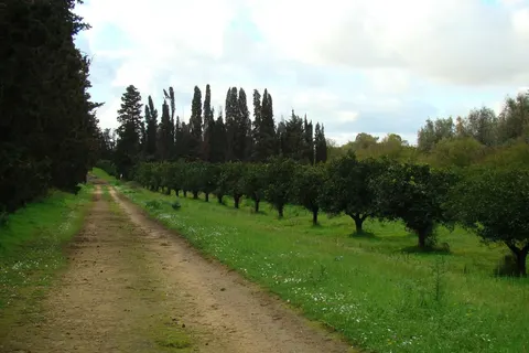 Agriturismo Case di Latomie foto 20
