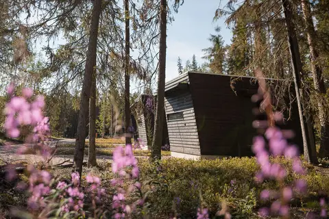 Vaattunki Wilderness Resort in Rovaniemi — foto 10