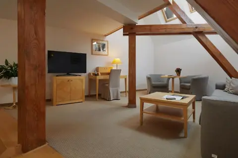 Ventana Hotel Prague in Praag, foto 14
