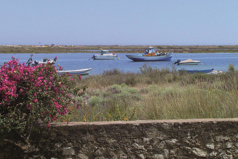 Appartementen Golden Club foto 5