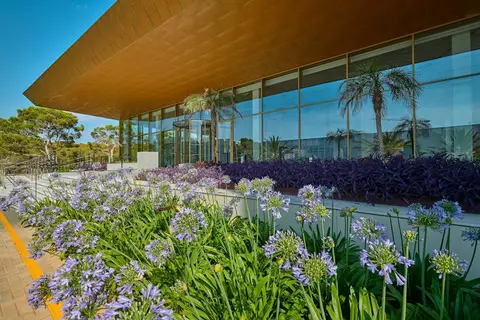Hipotels Playa de Palma Palace in Palma — foto 11