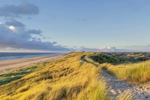 Best Western Beach Hotel Bergen aan Zee foto 18