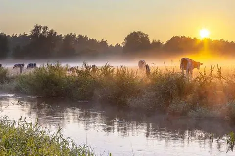 Bed and Breakfast Ootmarsum foto 16