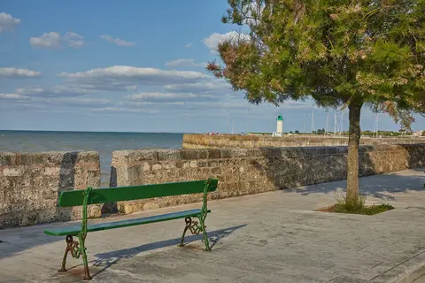 La Côte Sauvage in Saint-Clément-des-Baleines — foto 17