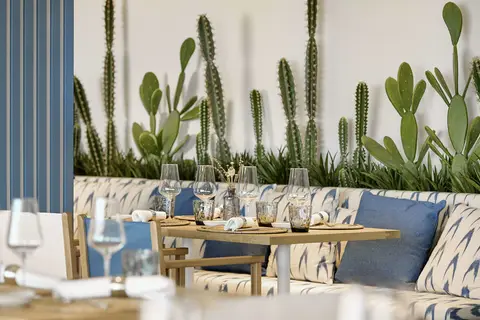 Iberostar Selection Es Trenc in Colònia de Sant Jordi — foto 13