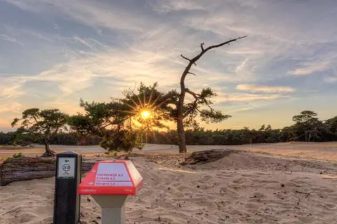 Bungalowpark Het Verscholen Dorp foto 17