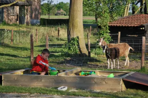 Camping De Toffe Peer in Ruinerwold — foto 6