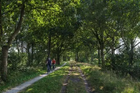 Vakantiepark 't Strandheem in Opende — foto 18