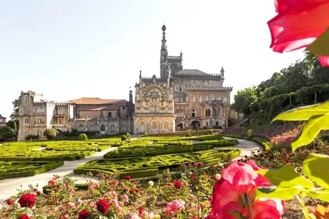 Bussaco Palace in Mealhada — foto 5