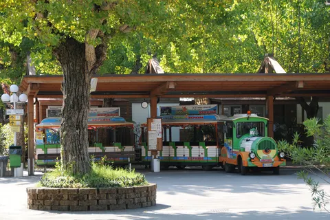 Camping Riccione foto 21