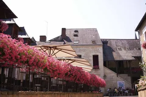 Hotel La Croix Blanche in Fontevraud-l'Abbaye — foto 14