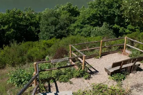 Hotel im Rheintal foto 25