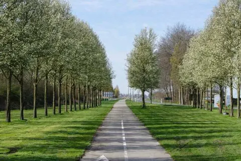 Hotel en Restaurant van Saaze foto 34