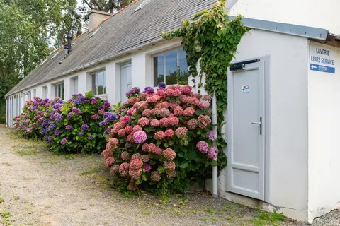 Flower Camping Le Port De La Chaine in Pleubian — foto 21