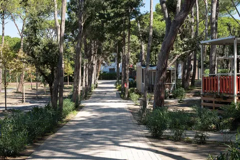 Capannino Camping Village foto 13