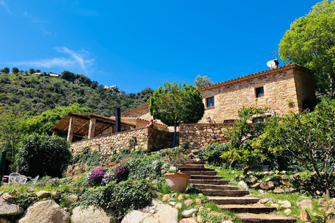 B&B La Vista Brava foto 2