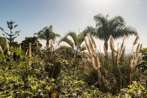 Finca Vista Bonita in San Miguel de Abona — foto 8
