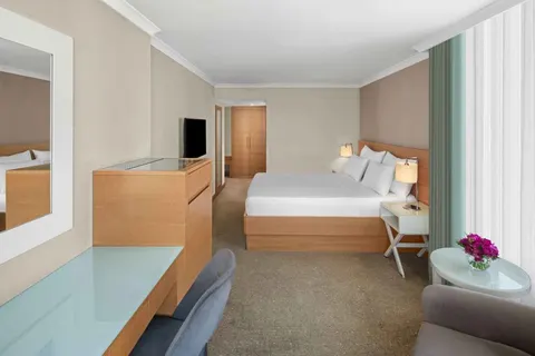 Dedeman Istanbul Hotel in İstanbul — foto 7