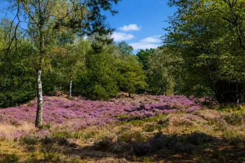 Hotel De Hoeve van Nunspeet in Nunspeet — foto 12