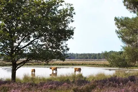 Van der Valk Hotel Venlo foto 10