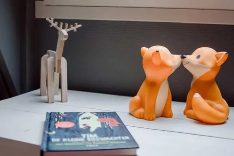 Witte Berken Natuurhotel foto 12