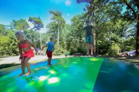 Vakantiepark de Bonte Vlucht foto 2