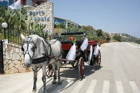 Porto Skala Hotel in Δημοτική Ενότητα Ελειού-Πρόνων — foto 15