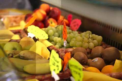 Camping Europa Silvella foto 24