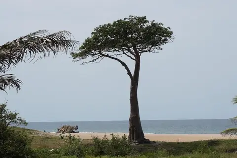 Lemon Creek Resort in Sukuta — foto 24