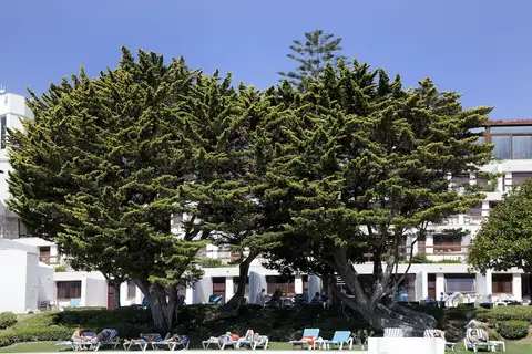 Hotel Do Mar in Sesimbra — foto 28