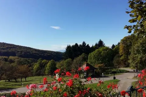 Landgasthof Grüner Baum foto 19