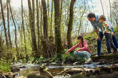 Park Hochsauerland foto 27