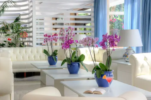 Hotel Caravel in Sant'agnello — foto 28