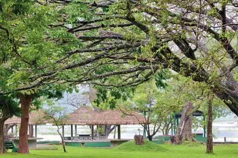 Habarana Village by Cinnamon in Habarana — foto 9