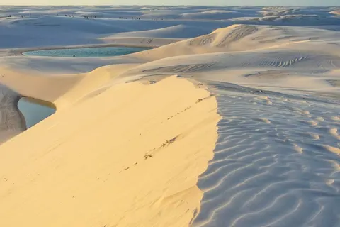 Discover the Nature of Brazil in Rio de Janeiro