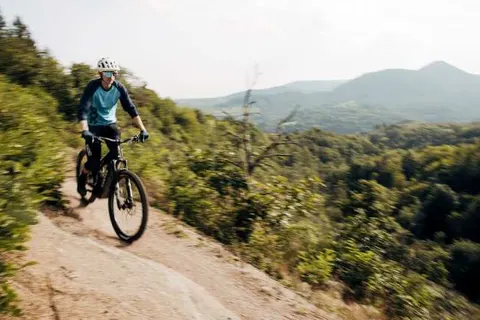 Hotel Leinsweiler Hof foto 25