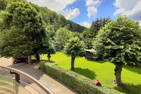 Harz Hotel Iris foto 29