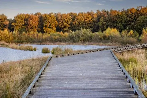 Hotel en Restaurant Wesseling foto 30