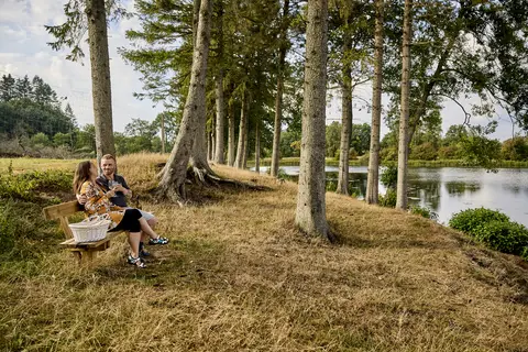Camping Vestbirk in Østbirk — foto 26