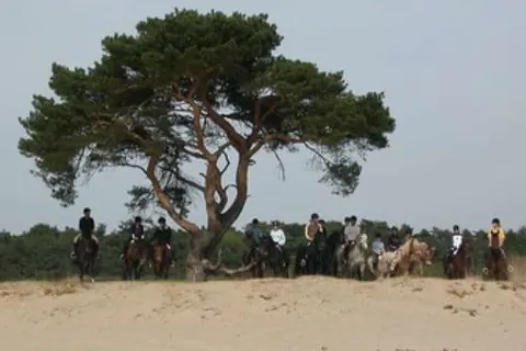 Hotel de Villa foto 20